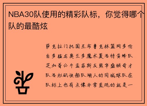 NBA30队使用的精彩队标，你觉得哪个队的最酷炫